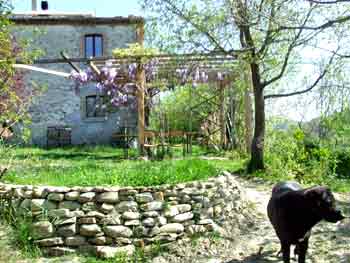 haus