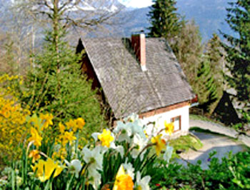 haus im sommer