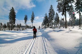 winter