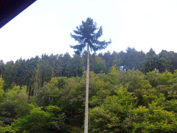 Schlafen