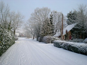 winter