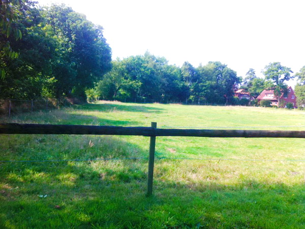 ausblick kueche