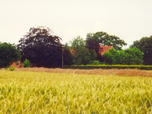 umgebung
