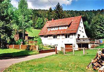 Ferienhaus im Grnen