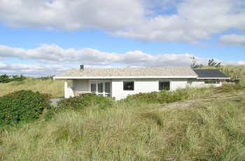 duenen