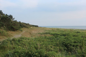 umgebung
