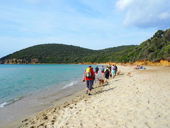 bucht