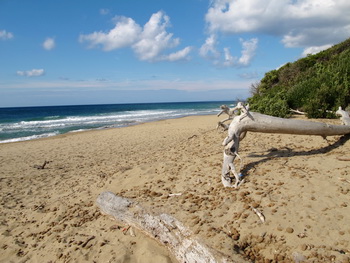strand