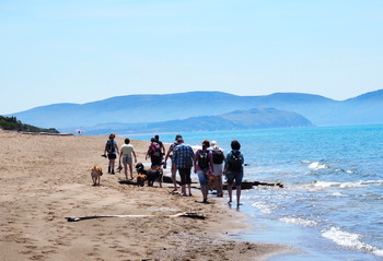 strand