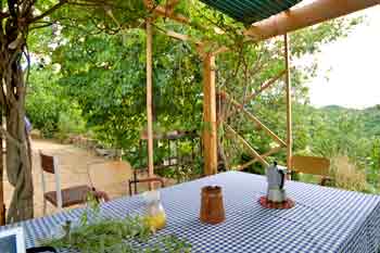 Pergola