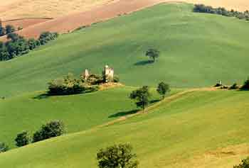 Landschaft