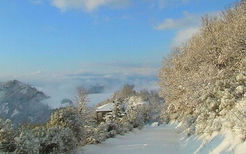 winter 