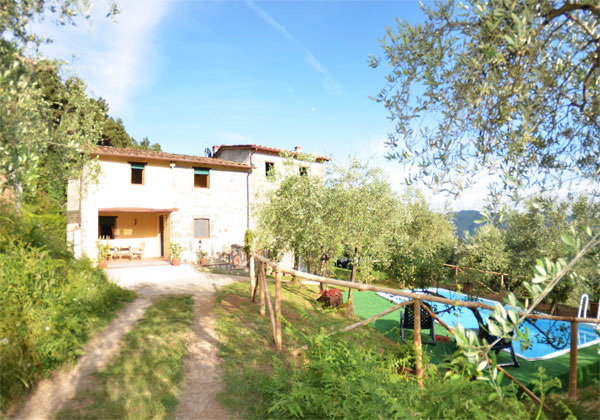 garten und pool