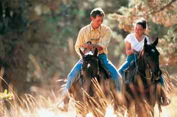 reiten