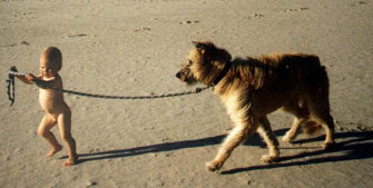 Gassi am Strand